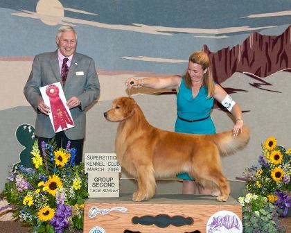 About Us – Tarheel Golden Retriever Club